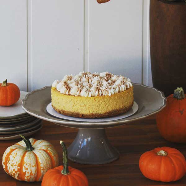 Pumpkin cheesecake